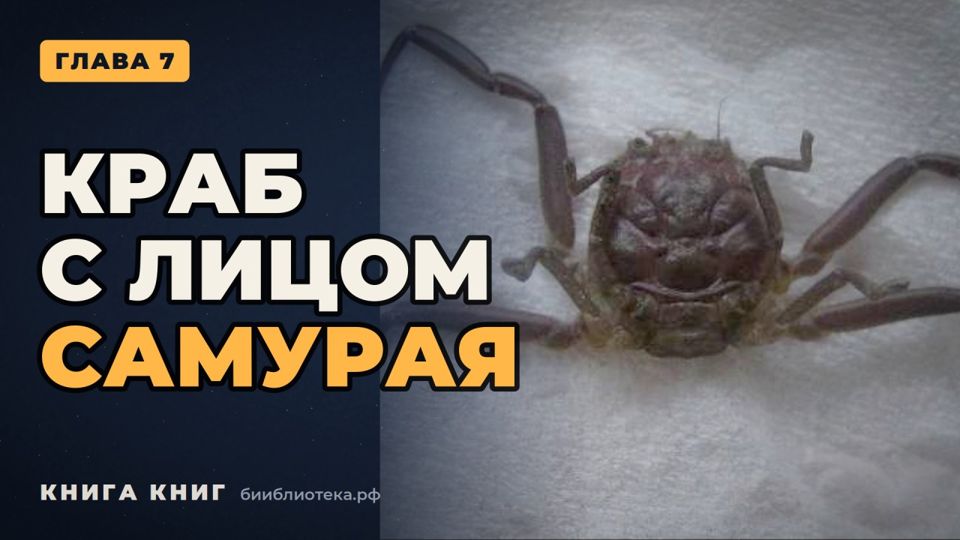 Видеоверсия: Глава 7. Что такое жизнь
