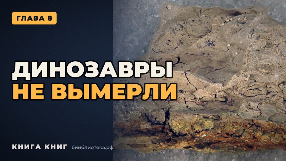 Видеоверсия: Глава 8. Глубокое время