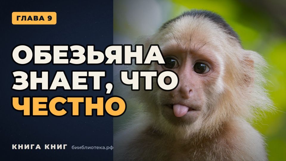 Видеоверсия: Глава 9. Мы среди животных